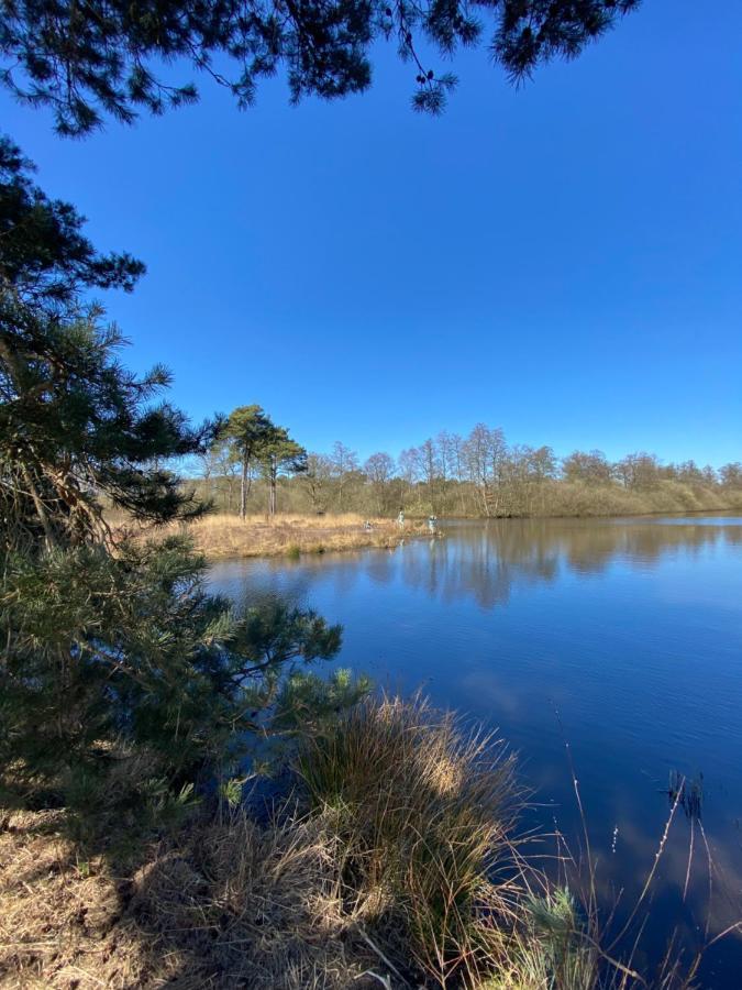 Domestico Bed & Breakfast Lage Mierde Eksteriør bilde