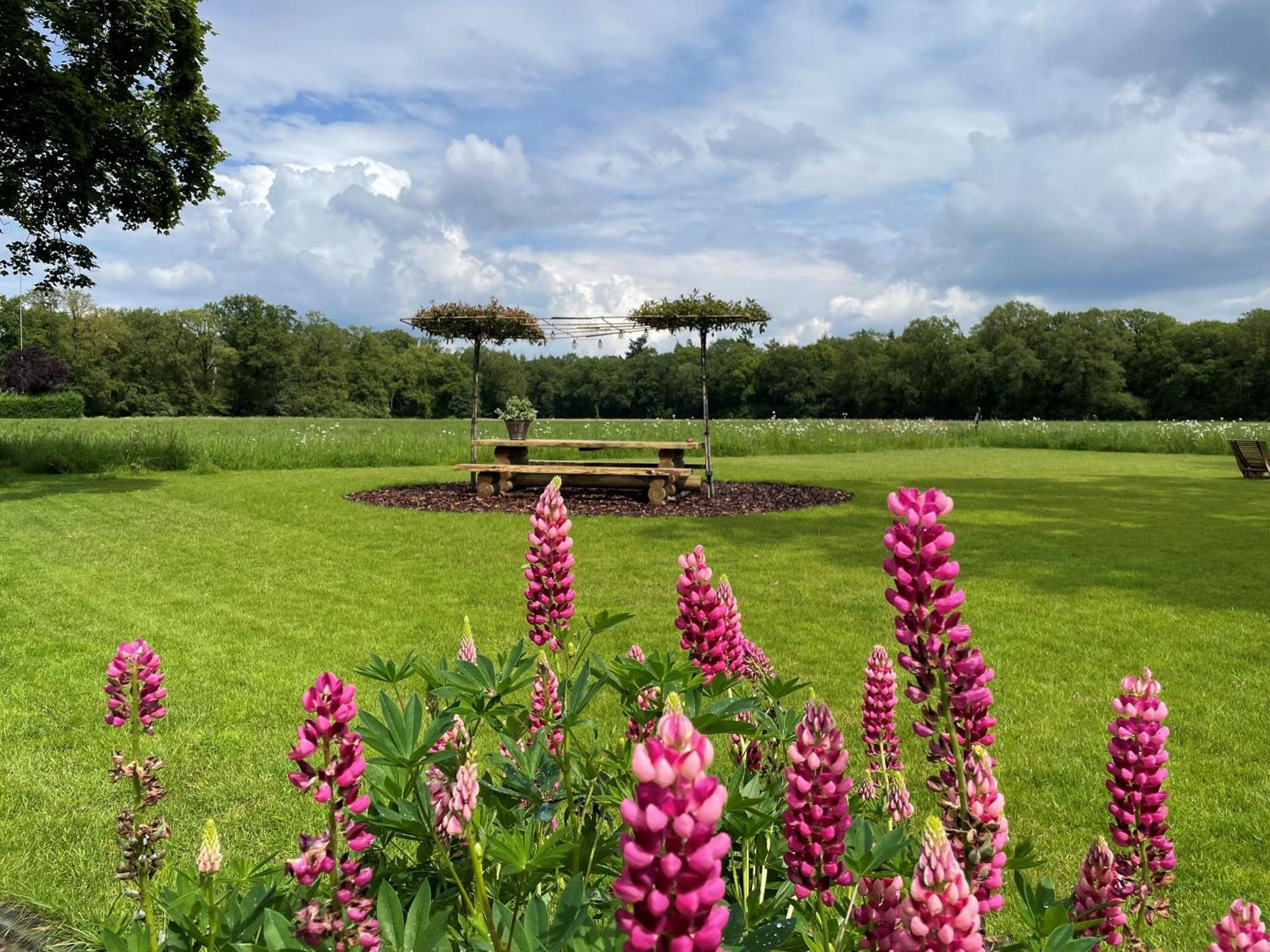 Domestico Bed & Breakfast Lage Mierde Eksteriør bilde