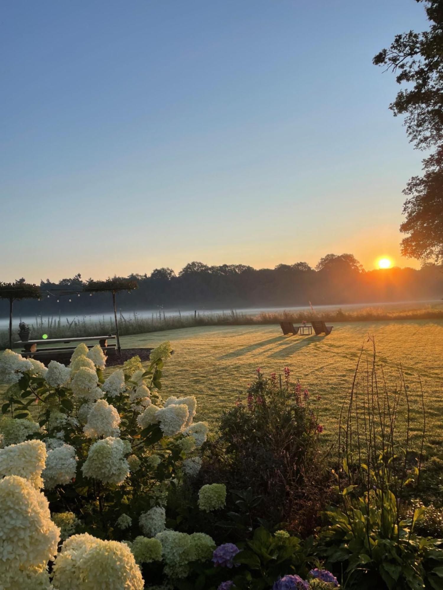 Domestico Bed & Breakfast Lage Mierde Eksteriør bilde