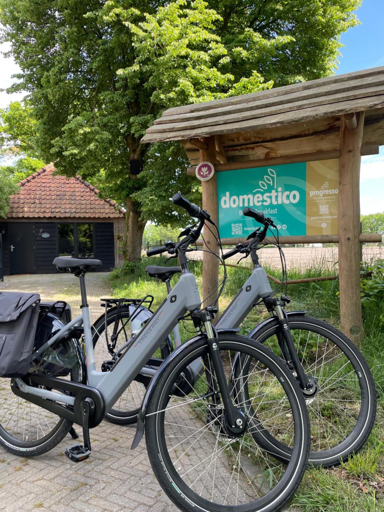 Domestico Bed & Breakfast Lage Mierde Eksteriør bilde